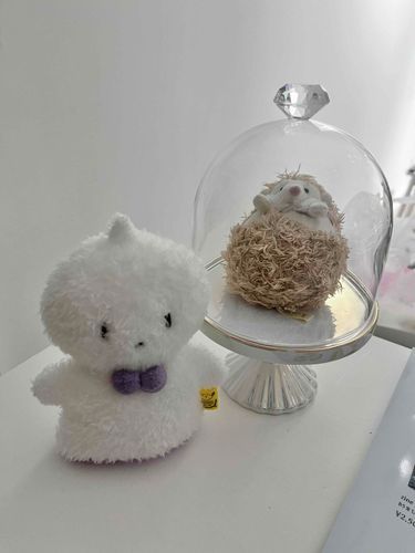 まいたのさん……🦔