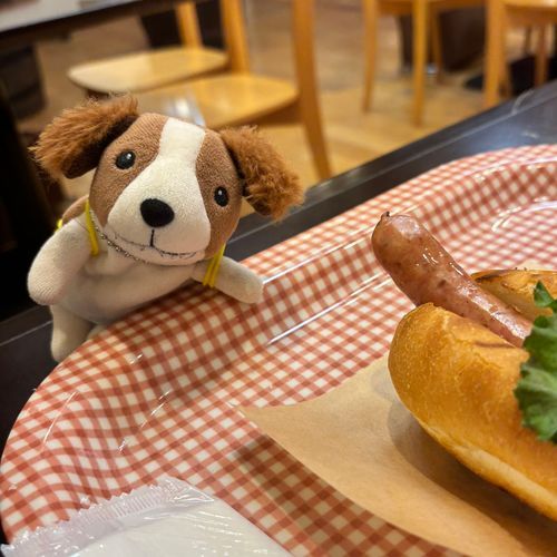 わんです。
かいぬしかんりではじめました。

