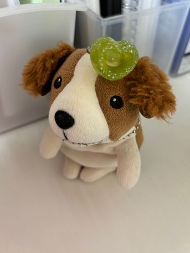 かいぬしはむずかしいてすとがあって、きのうからわんはほうちされていました。
おわびをもらいました。