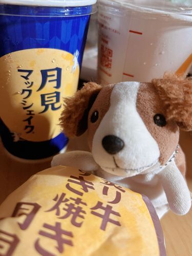 このときをまっていました。