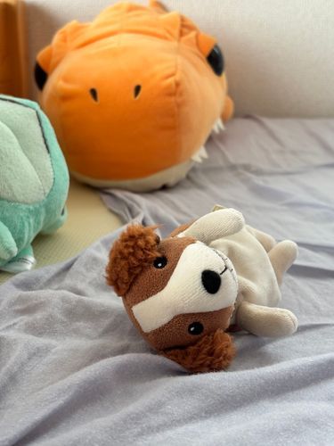 わんは、これからおひるねです。