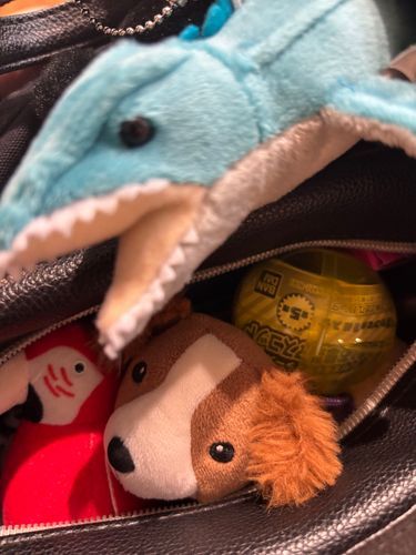かいぬしのかばん、ちいさいし、まんいん です。