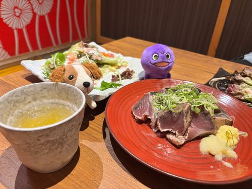 かいぬしのともだちがつれてきたともだちです。かつおもあります。