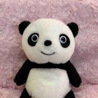 パンちゃん