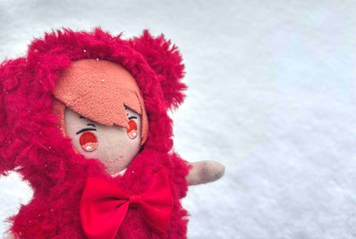 雪で真っ白〜