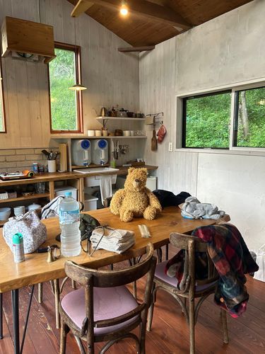 山小屋のヌシ 🐻