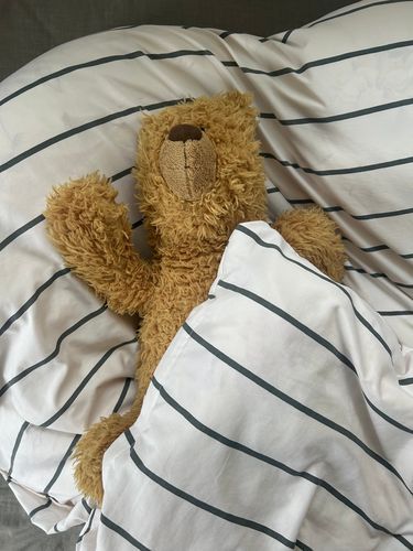 すやぁ🛌💤