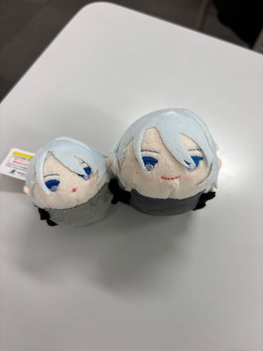 飼い主です。ちょぎもちくんとこもちちょぎくんが我が家に来て一周年となりました！