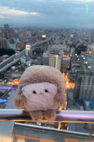 たかいとこ ちょと こわい みたい