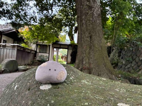 おひさしぶりです ながのにきています