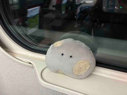 ながの むちゃたのしかった！
また くるからね〜