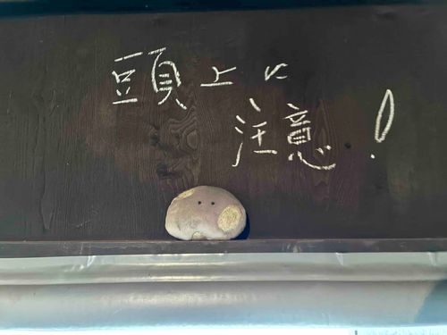 いしだけど いしあたまじゃなくて ふわふわなので ちゅういが ひつよう