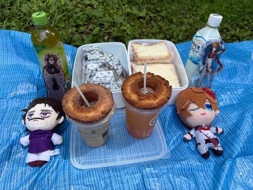 友達のお家在住のタルタリヤさんと
お兄ちゃんと
ピクニックです🍙