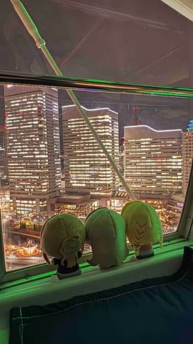 🎀景色、綺麗だね〜！
🦉おぉ〜〜
💰よこはまコスモワールドの観覧車ですよぉ♡