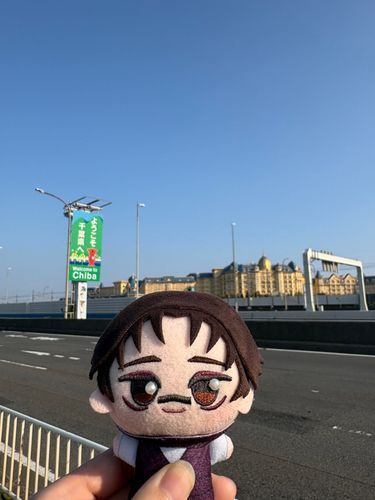 東京駅からディズニーランドまで散歩しました🚶‍♀️
日差し強いし高速道路うるさいし景色同じで辛かったです🤗