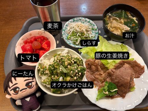 実家ごはん

※お兄ちゃんは食べられません
