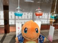 ヒトカゲちゃん