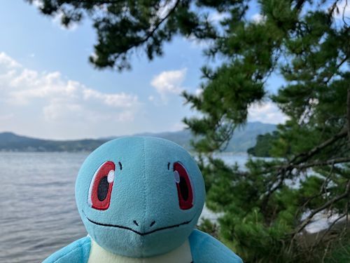 みんなで旅行にきたよ🩵