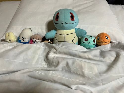 おやすみなさい😴