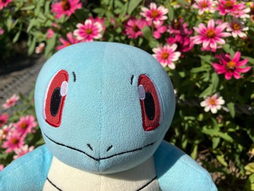 お散歩してきたよ♪