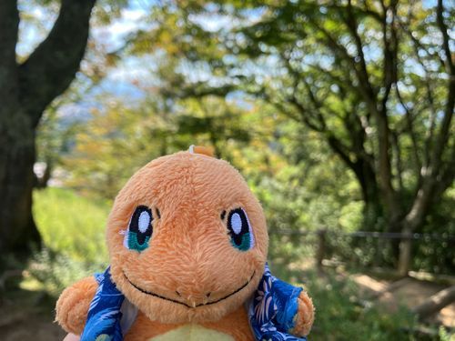 若草山⛰️
