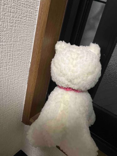 降ってるナァ