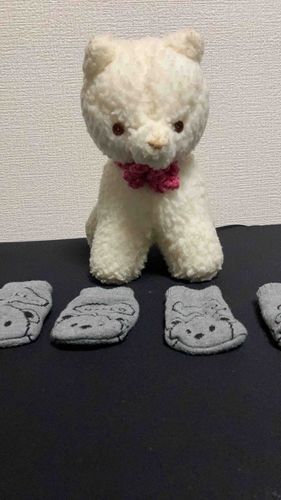 ワンタン今年はコレ履いて出かけるから、冬眠しないヨ。