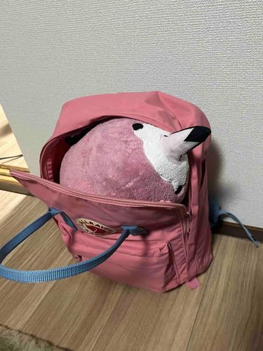 今日から「きせい」するねんてー！
ぼくにぴったりのピンクのリュックに、ぎゅむっと入って帰るよ〜