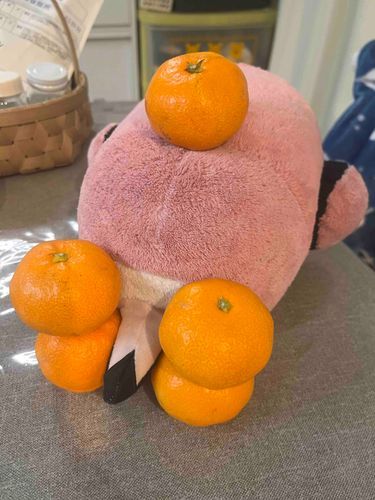 「じっか」にいっぱいあったおミカンで、ビタミンCをたっぷりほきゅー！