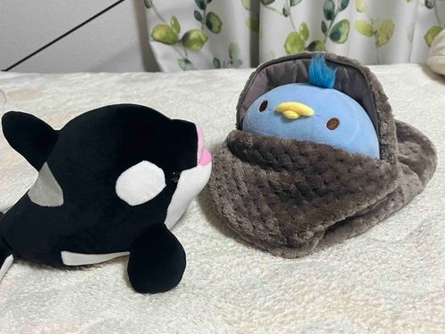 一方、お留守番組──

新しく買ったフワフワの湯たんぽカバーに夢中