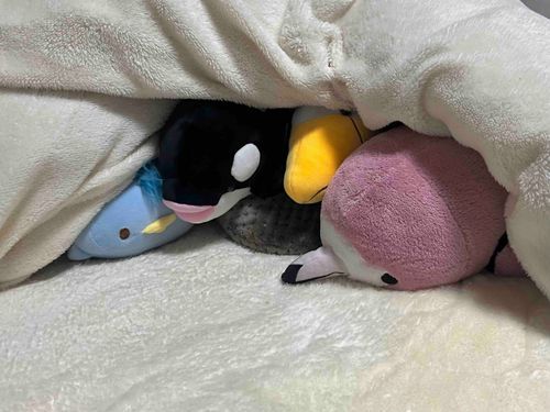 お布団の中が湯たんぽでぬくぬく！ぼくたち、もうここから出ませんからねー！