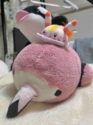 お泊まりにきたお友達が、ウミウシちゃんを連れてきた！
ぼくたち、おんなじピンクいろー！💖