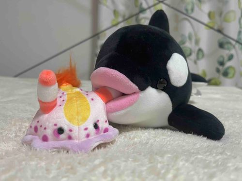 あむ