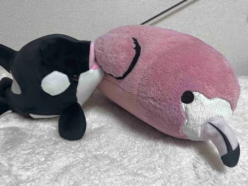この写真は、おいらが初めてグロリアに会った時のやつ！誰にでもあむあむしてごあいさつするんだーい！

「ﾜｰ! なにー！？」