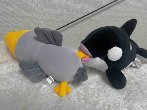 ハシビロコウのぴろぴろも、あむっとごあいさつだーい！

「うおー！何なんだぜー！？」