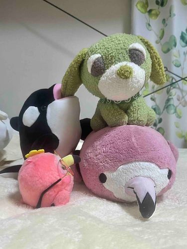 今度はまたべつのお友達が、お茶犬を連れてきてくれたよー🎶
……あ、また食べてる！