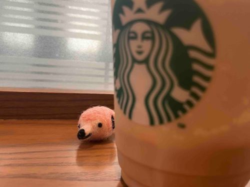 ちいちゃいぼく in ｽﾀﾊﾞ