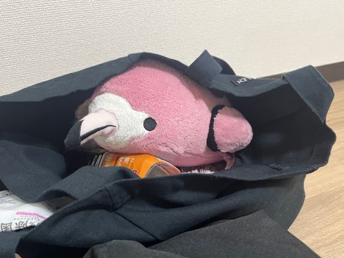 また「おひっこし」するねんて！
前はダンボールに入れてられて、暗くてせまくてつまらなーい❗️😠だったから、今回はカバンに入ってついてくよー！
ぼくの新しいおうち、どんなかな🎶