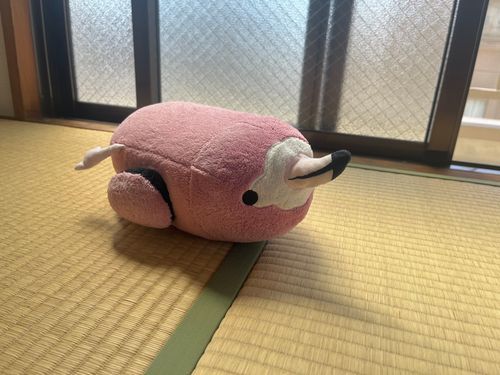 新しいおうち、着いたよー❗️
たたみの和室があって、いー感じ！ごろりん！