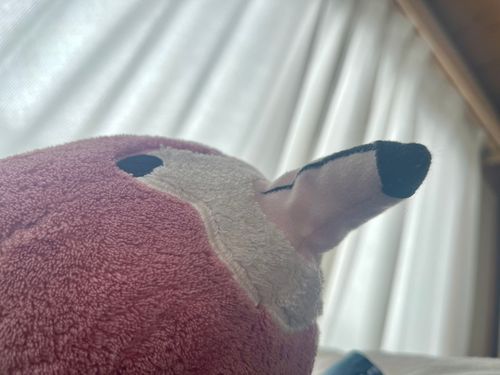 朝だよー！早くおきなー！