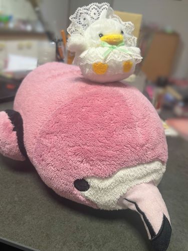 あひるの赤ちゃんがカプセルに捕まってたから、ガチャガチャ回して助けたげた！✨