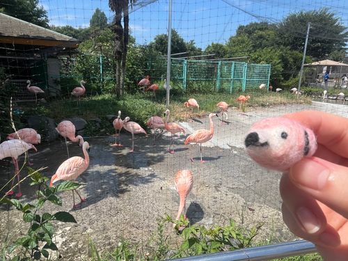 動物園に、仲間がいっぱいー！