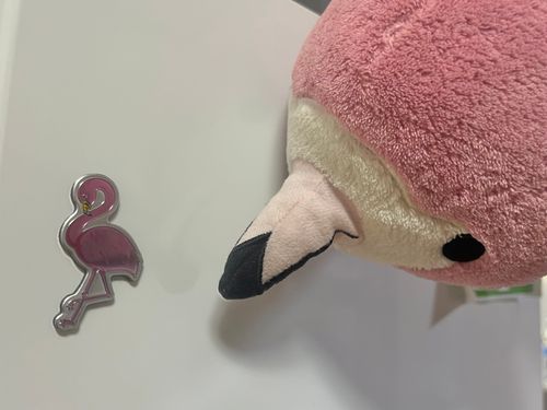 どーぶつえんのおみやげ！
新入りフラミンゴとして、ビシバシ鍛えるからねー！☝️