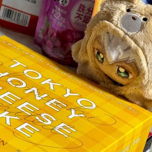チーズケーキ、発見しました.ᐟ.ᐟ