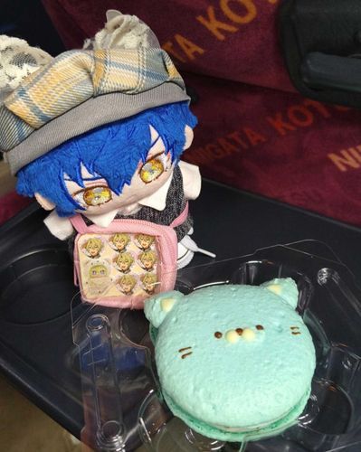 じぃーっ…👀✨
…ワイルドハイエナ？
