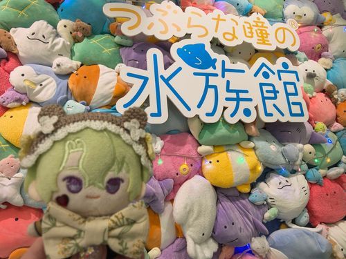 壁一面プリティだったねっ❤︎°･🐠
みんな窮屈そうだね…？:🫨: