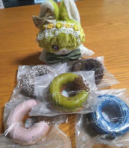 お土産のドーナツだよ🍩✨
☀️🦊🎶