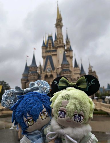 夢と魔法の王国にいったねっ🐭🏰‪‪
アナ雪のカチューシャしてるのにシンデレラ城で写真撮ったね📸
土砂降りだったから人も少なくてアトラクションもほとんど並ばずにたーっくさん乗ることができたね🎢🌧
