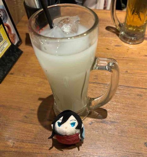 きのうはあるじのともだちとあってきたぞ
こいつはこもちのおれ
おれのあるじはしゃしんぶしょうだから、おれのしゃしんをとるのはともだちにまかせていた…