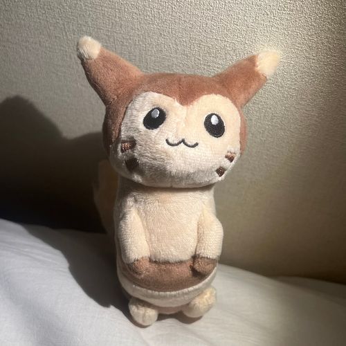 出先でお出迎えしたオオタチちゃん。
名前はまだない。出会った時から首を少しかしげている。